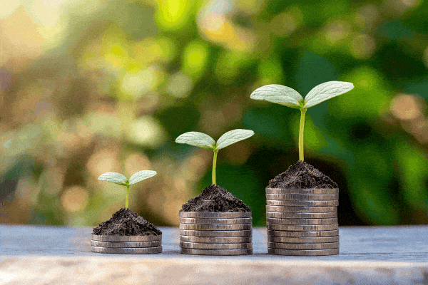 Environmental Groups