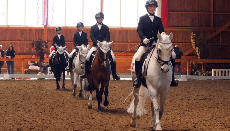 Equestrian Facility Equestrian Facility