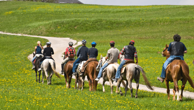 Horseback Riding Service Horseback Riding Service
