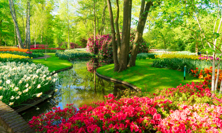 Lawn & Garden Lawn & Garden